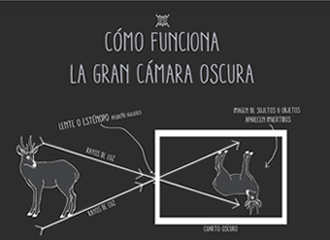 Cómo Funciona